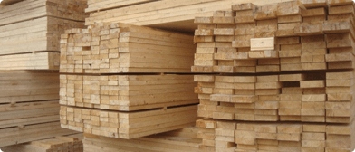 картинка-превью для новости Снижение цены. Зимний лес.