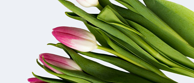 картинка-превью для новости График работы в Международный женский день