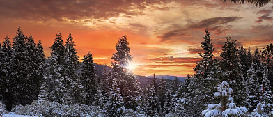 картинка-превью для новости С Новым 2022 годом!